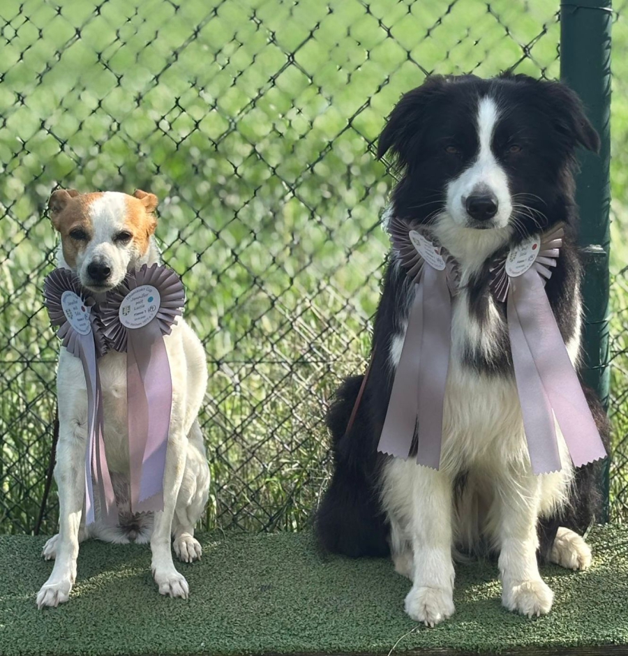 Lucie und Sola