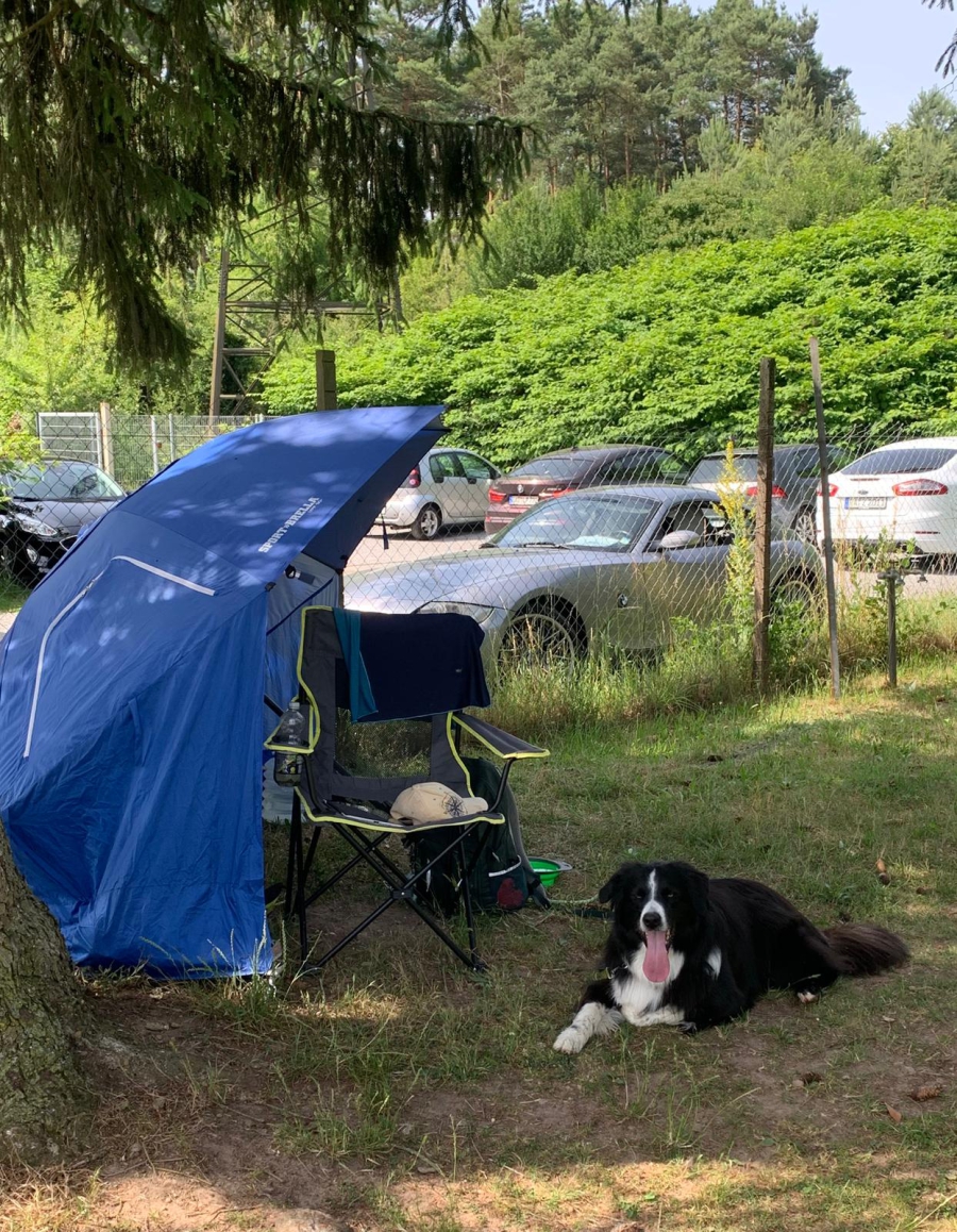 Schattiger Platz für Hund und Halter